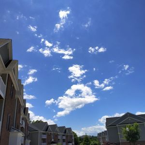 Meet your Posher, Coco